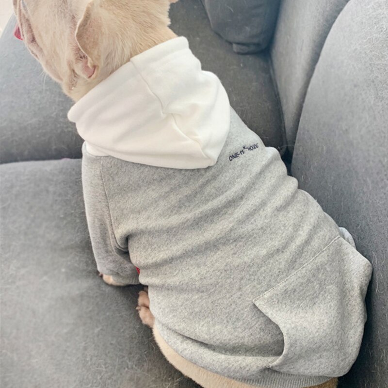 Pet - Gray