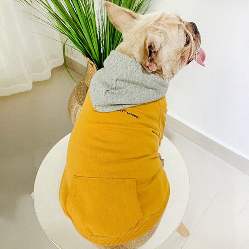 Pet - Yellow